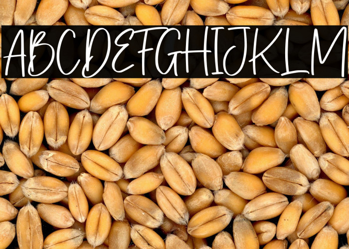 Bellarosse Example 3