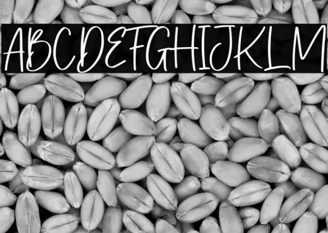 Bellarosse Font examples