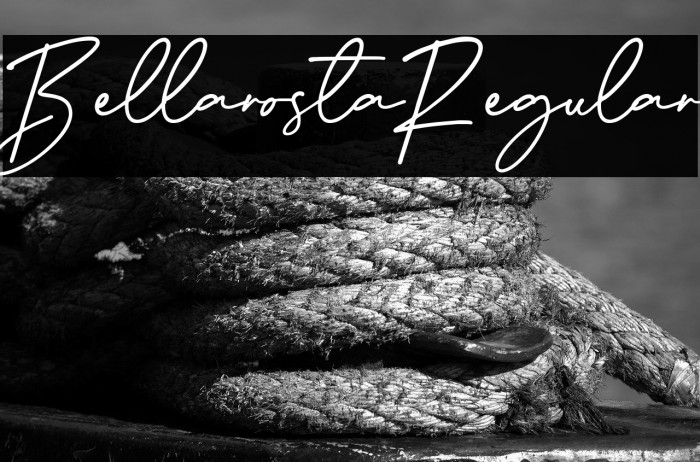 BellarostaRegular Example 1