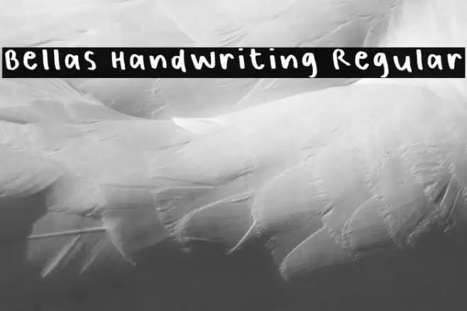 Bellas Handwriting Regular Font examples