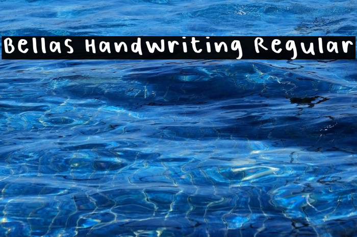 Bellas Handwriting Regular Example 3