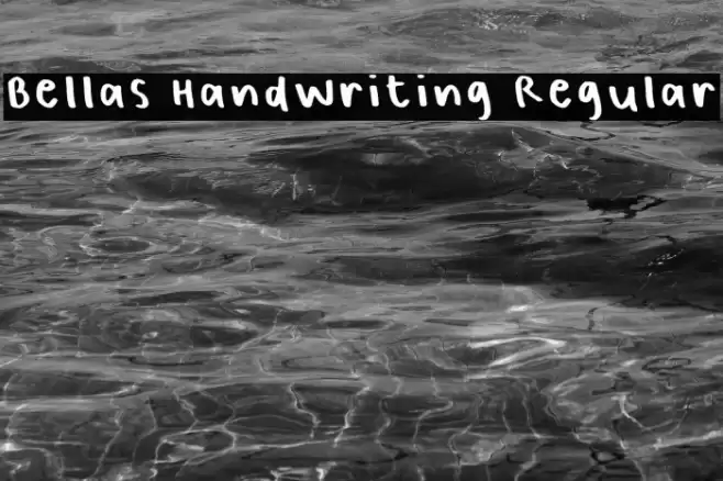 Bellas Handwriting Regular Font examples