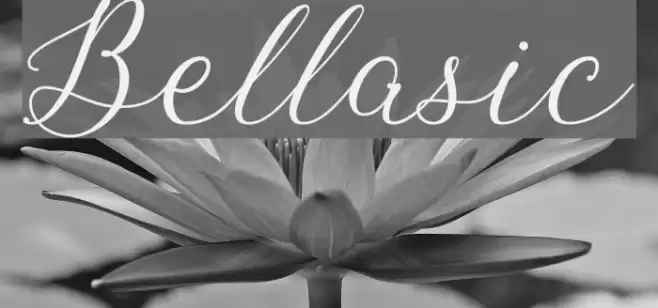 Bellasic Font examples