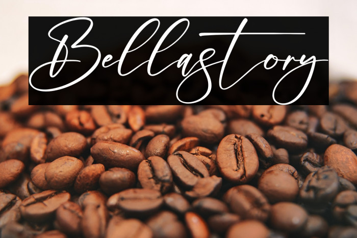 Bellastory Example 3