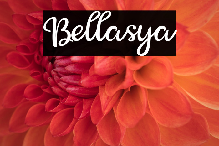 Bellasya Example 1