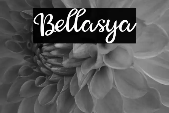 Bellasya Font examples