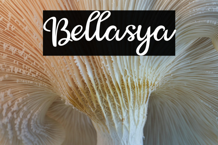 Bellasya Example 2