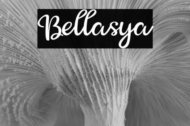 Bellasya Font examples