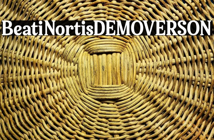 Bellati Nortils DEMO VERSION Example 1