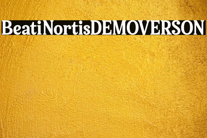 Bellati Nortils DEMO VERSION Example 3