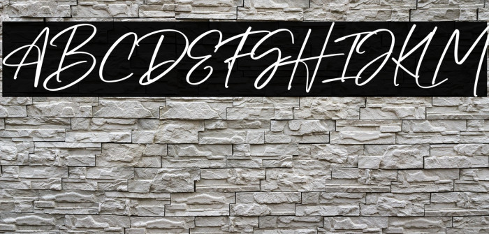 Bellatright PERSONAL USE ONLY! Example 3