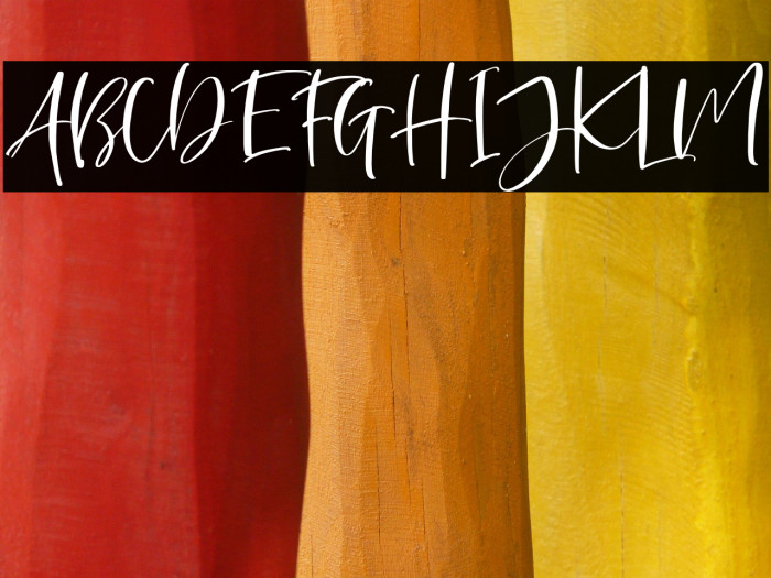 BellatroneDEMO Example 1