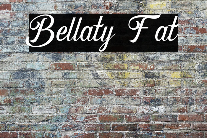 Bellaty Fat Example 1