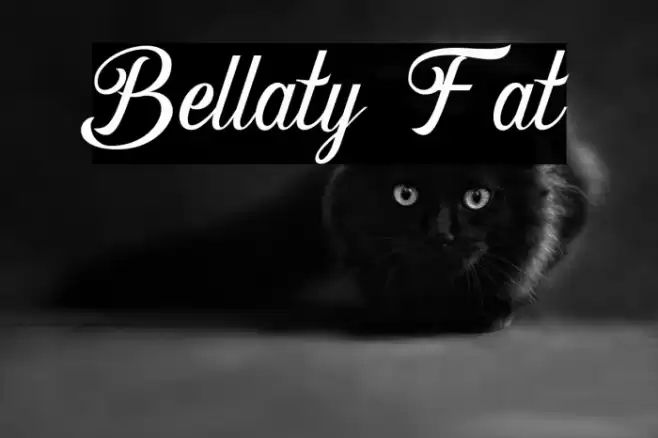 Bellaty Fat Font examples