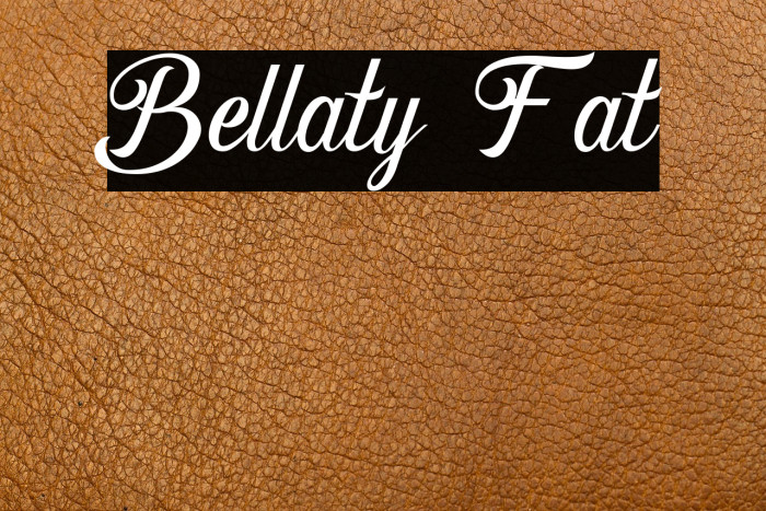 Bellaty Fat Example 3