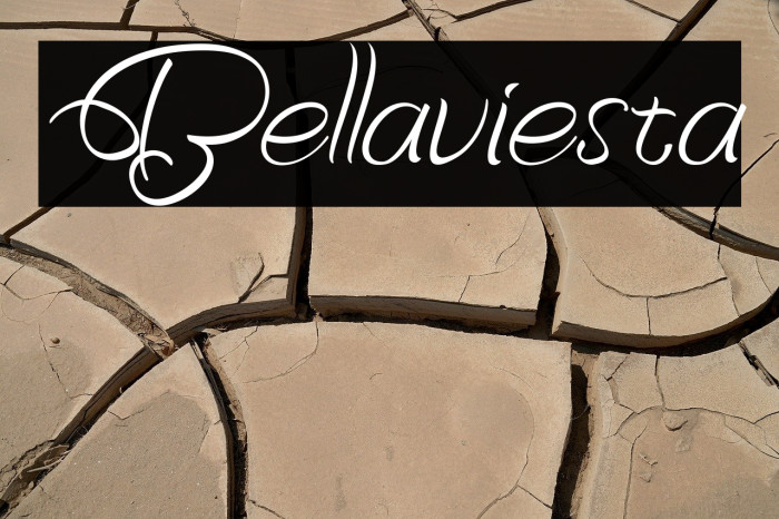 Bellaviesta Example 2