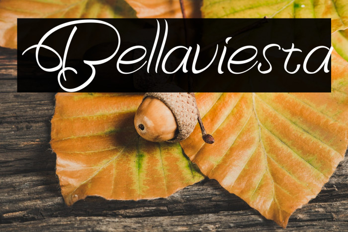 Bellaviesta Example 3