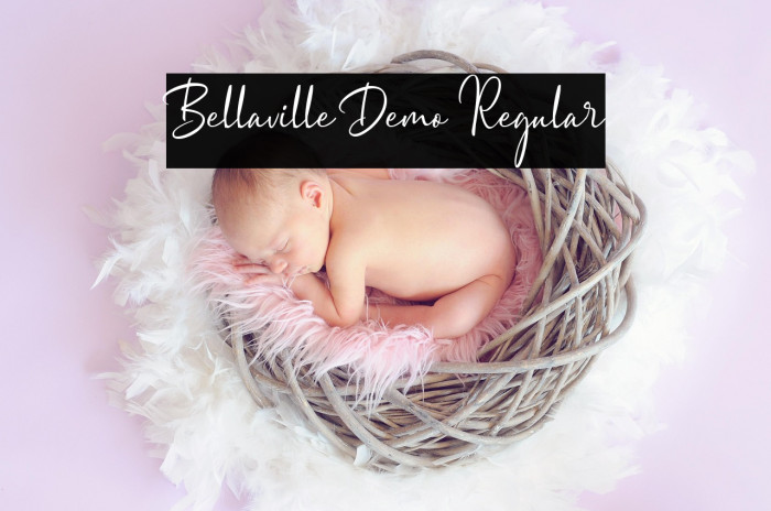 Bellaville Demo Regular Example 1