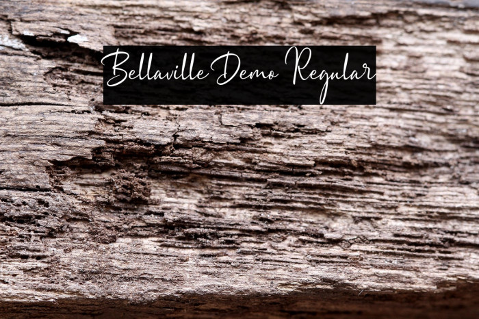 Bellaville Demo Regular Example 2