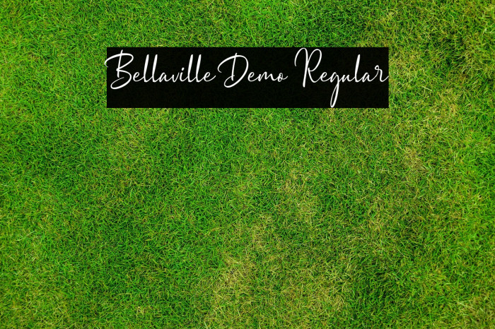 Bellaville Demo Regular Example 3