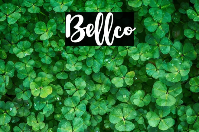 Bellco Example 2