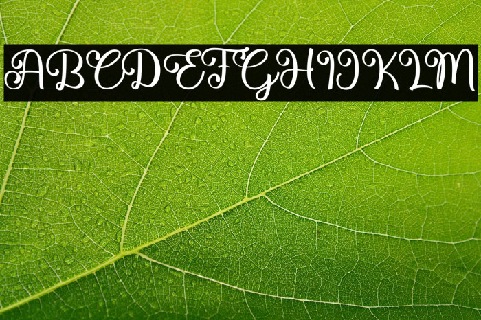 Bellcue Script Example 3