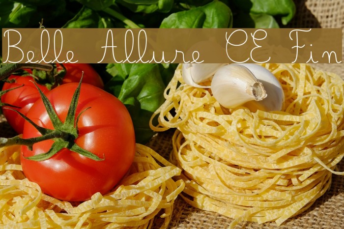 Belle Allure CE Fin Font examples