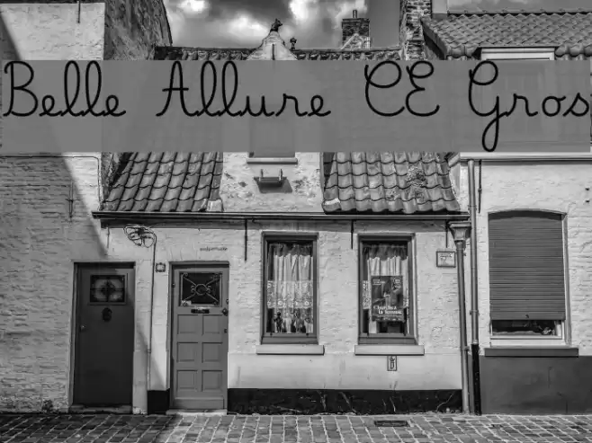 Belle Allure CE Gros Font examples