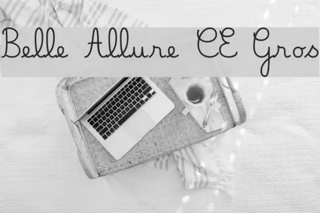 Belle Allure CE Gros Font examples