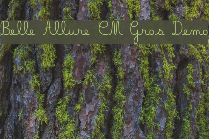 Belle Allure CM Gros Demo Font examples