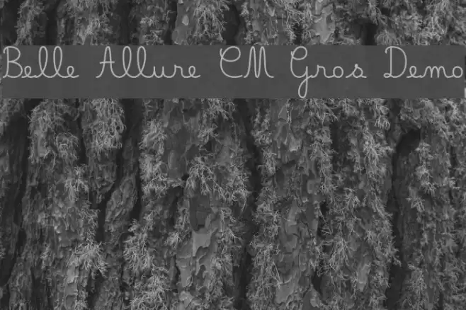 Belle Allure CM Gros Demo Font examples