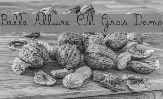 Belle Allure CM Gros Demo Font examples