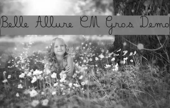 Belle Allure CM Gros Demo Font examples