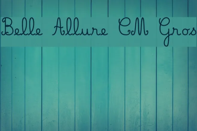 Belle Allure CM Gros Example 3