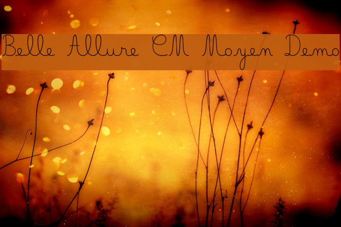 Belle Allure CM Moyen Demo Font examples