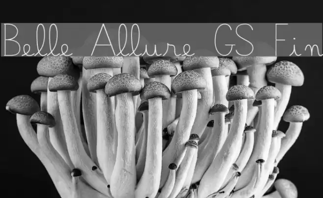 Belle Allure GS Fin Font examples