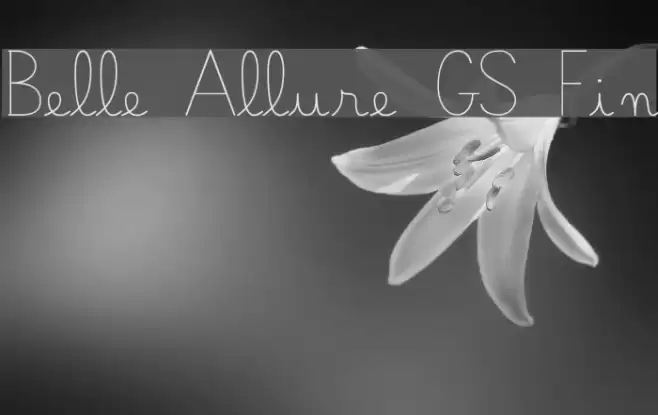 Belle Allure GS Fin Font examples