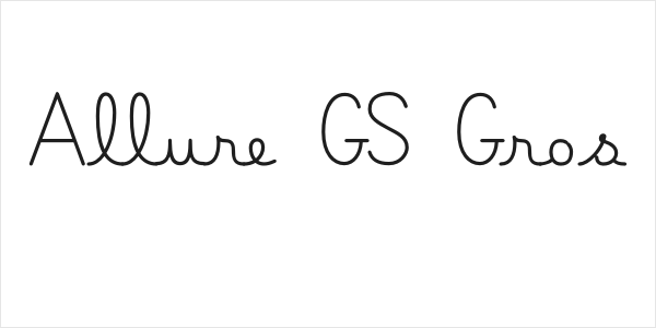 Belle Allure GS Gros Demo Logo