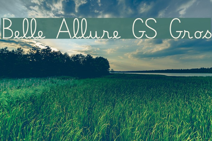 Belle Allure GS Gros Font examples