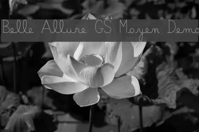 Belle Allure GS Moyen Demo Font examples