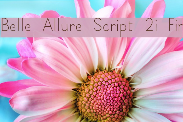 Belle Allure Script 2i Fin Font examples