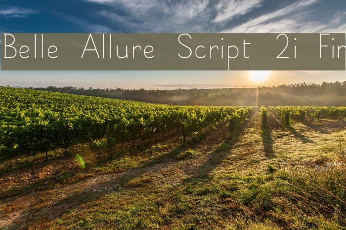 Belle Allure Script 2i Fin Font examples