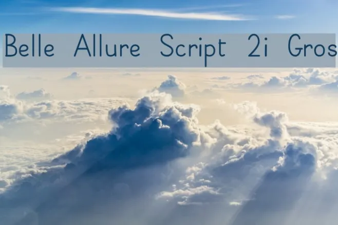 Belle Allure Script 2i Gros Example 1