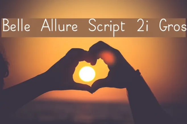 Belle Allure Script 2i Gros Example 3