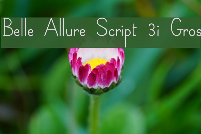 Belle Allure Script 3i Gros Example 1