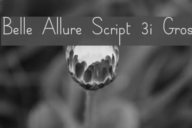 Belle Allure Script 3i Gros Font examples