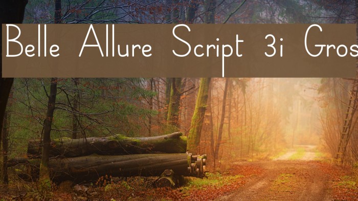 Belle Allure Script 3i Gros Example 2