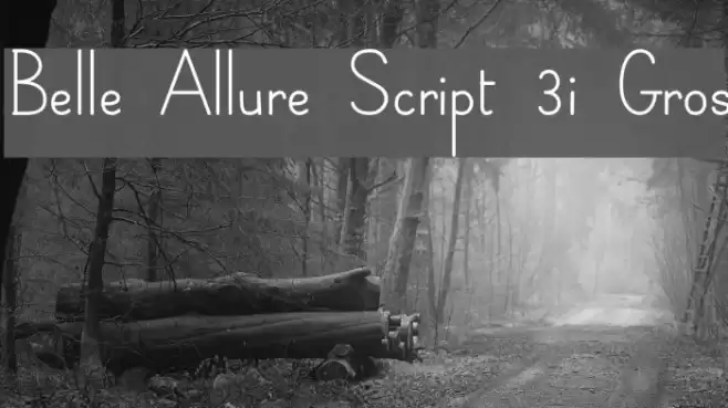 Belle Allure Script 3i Gros Font examples