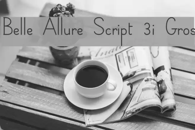 Belle Allure Script 3i Gros Font examples