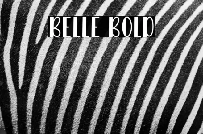 Belle Bold Caratteri examples
